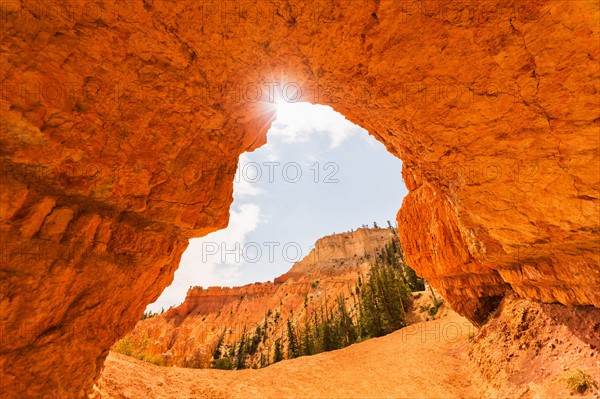 Bryce Canyon National Park. Bryce Canyon National Park, Utah, USA.
Photo : Daniel Grill