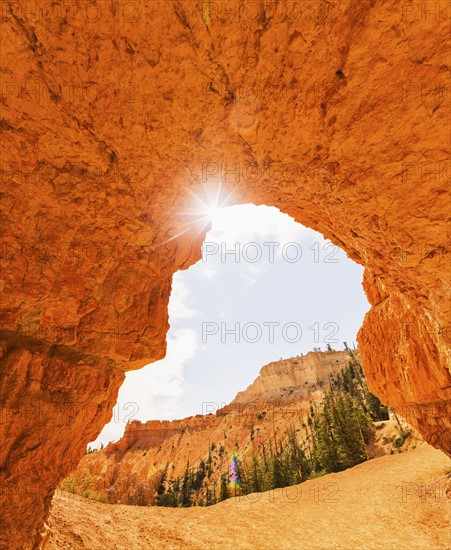 Bryce Canyon National Park. Bryce Canyon National Park, Utah, USA.
Photo : Daniel Grill