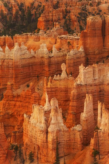 Bryce Canyon National Park. Bryce Canyon National Park, Utah, USA.
Photo : Daniel Grill