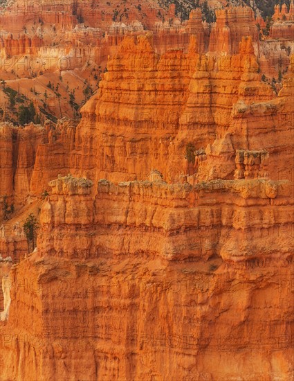 Bryce Canyon National Park. Bryce Canyon National Park, Utah, USA.
Photo : Daniel Grill