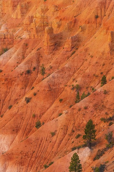 Bryce Canyon National Park. Bryce Canyon National Park, Utah, USA.
Photo : Daniel Grill