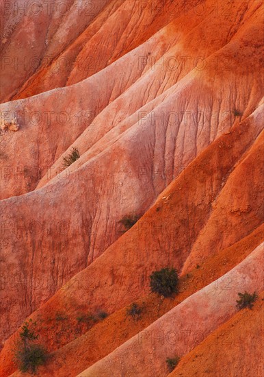 Bryce Canyon National Park. Bryce Canyon National Park, Utah, USA.
Photo : Daniel Grill