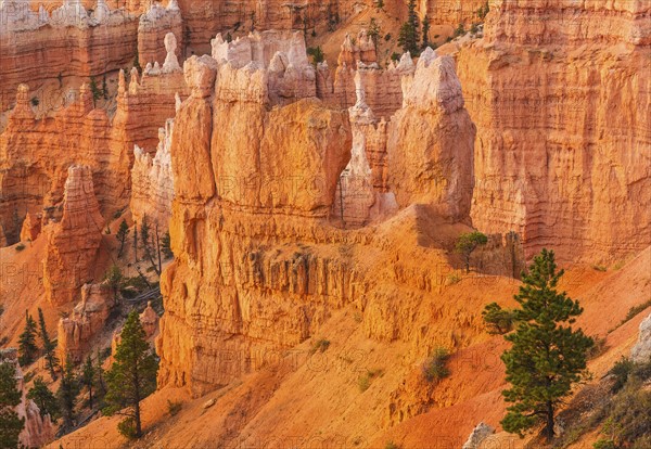 Bryce Canyon National Park. Bryce Canyon National Park, Utah, USA.
Photo : Daniel Grill