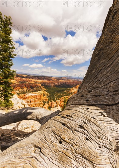 Bryce Canyon National Park. Bryce Canyon National Park, Utah, USA.
Photo : Daniel Grill