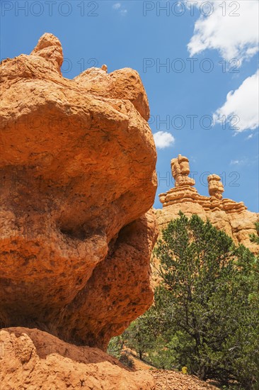 Bryce Canyon National Park. Bryce Canyon National Park, Utah, USA.
Photo : Daniel Grill