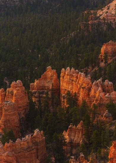 Bryce Canyon National Park. Bryce Canyon National Park, Utah, USA.
Photo : Daniel Grill