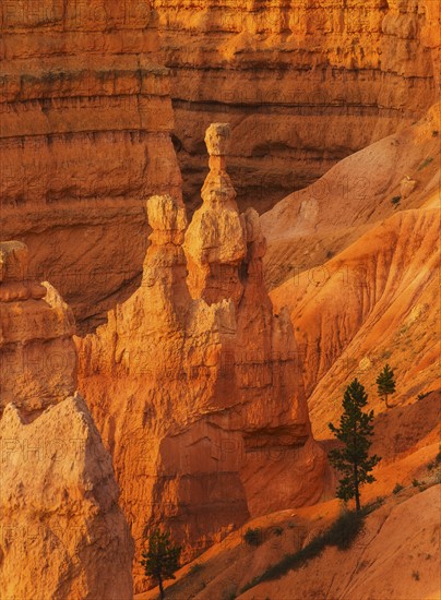 Bryce Canyon National Park. Bryce Canyon National Park, Utah, USA.
Photo : Daniel Grill