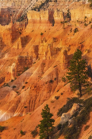 Bryce Canyon National Park. Bryce Canyon National Park, Utah, USA.
Photo : Daniel Grill