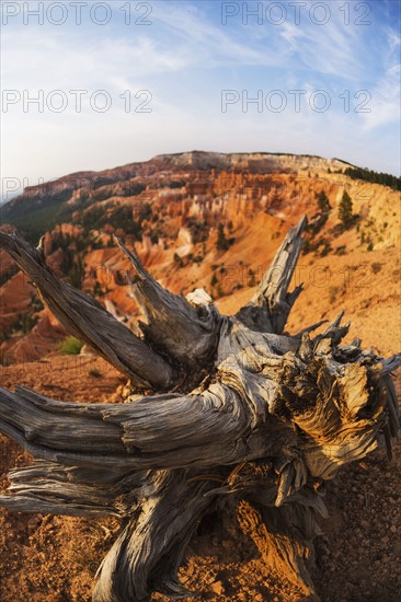 Bryce Canyon National Park. Bryce Canyon National Park, Utah, USA.
Photo : Daniel Grill