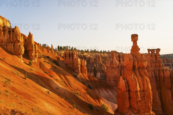 Bryce Canyon National Park. Bryce Canyon National Park, Utah, USA.
Photo : Daniel Grill