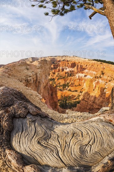 Bryce Canyon National Park. Bryce Canyon National Park, Utah, USA.
Photo : Daniel Grill