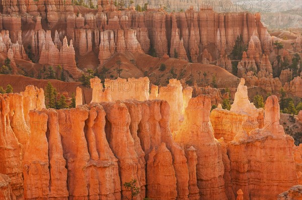 Bryce Canyon National Park. Bryce Canyon National Park, Utah, USA.
Photo : Daniel Grill