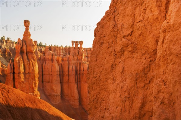 Bryce Canyon National Park. Bryce Canyon National Park, Utah, USA.
Photo : Daniel Grill