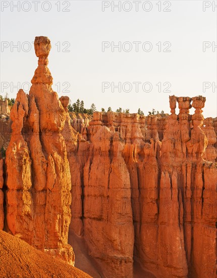 Bryce Canyon National Park. Bryce Canyon National Park, Utah, USA.
Photo : Daniel Grill