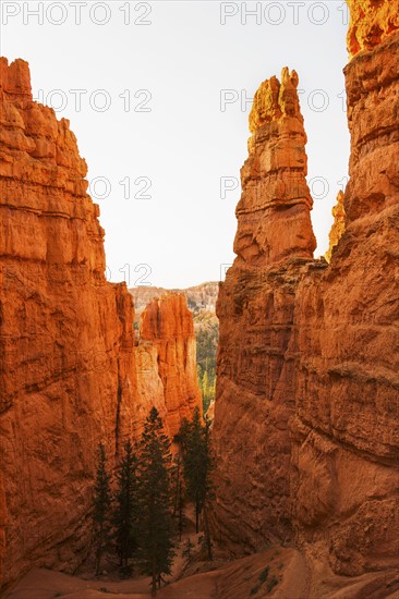 Bryce Canyon National Park. Bryce Canyon National Park, Utah, USA.
Photo : Daniel Grill