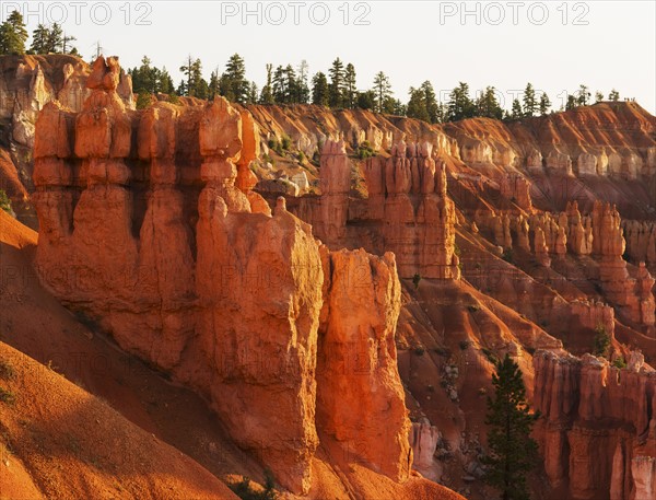 Bryce Canyon National Park. Bryce Canyon National Park, Utah, USA.
Photo : Daniel Grill