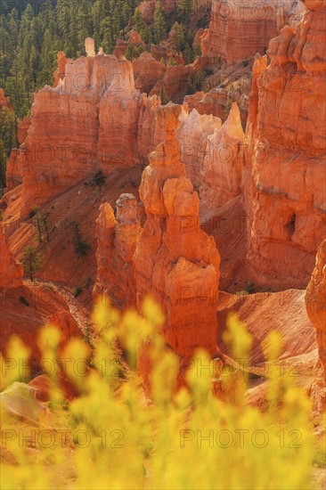 Bryce Canyon National Park. Bryce Canyon National Park, Utah, USA.
Photo : Daniel Grill