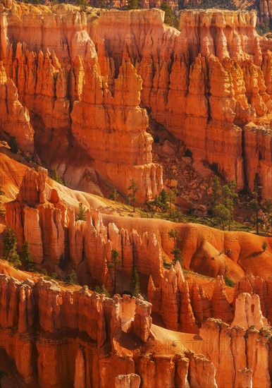 Bryce Canyon National Park. Bryce Canyon National Park, Utah, USA.
Photo : Daniel Grill