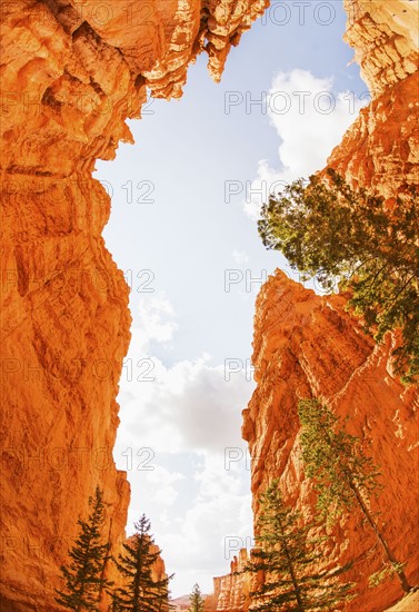 Bryce Canyon National Park. Bryce Canyon National Park, Utah, USA.
Photo : Daniel Grill