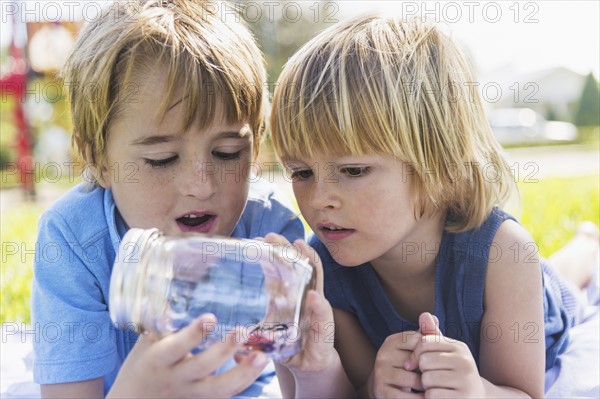 Boys (4-5, 8-9) watching butterfly in jar. Jupiter, Florida, USA.
Photo : Daniel Grill