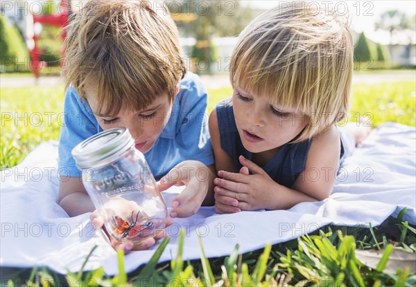 Boys (4-5, 8-9) watching butterfly in jar. Jupiter, Florida, USA.
Photo : Daniel Grill