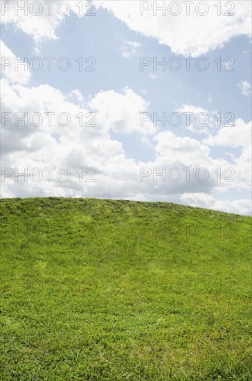 Horizon over green grass. Mountainville, New York State, USA.
Photo : Tetra Images