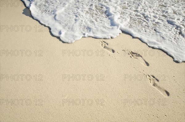 Footprints on sand.
Photo : Chris Hackett