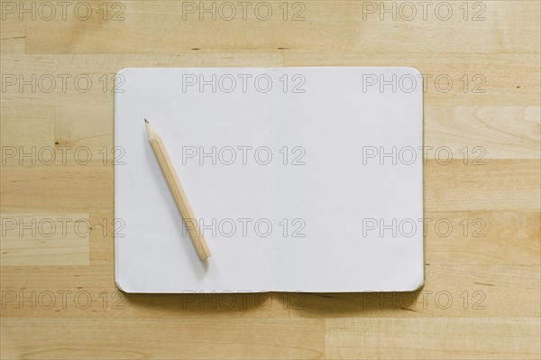 Studio shot of empty diary with pencil.
Photo : Kristin Lee