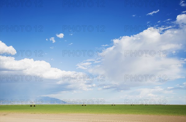 Irrigation system. Barley, Colorado, USA.
Photo : Maisie Paterson