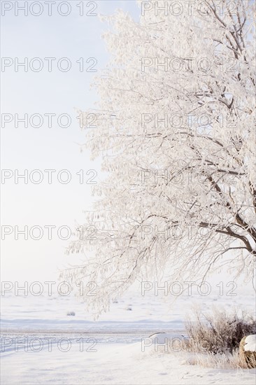 Winter landscape.
Photo : Maisie Paterson