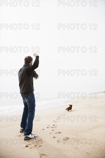 Dachshund fetching on beach.
Photo : Maisie Paterson
