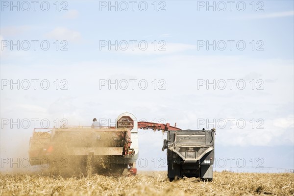 Potato harvest. Colorado, USA.
Photo : Maisie Paterson