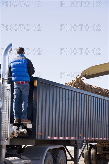 Potato harvest. Colorado, USA.
Photo : Maisie Paterson