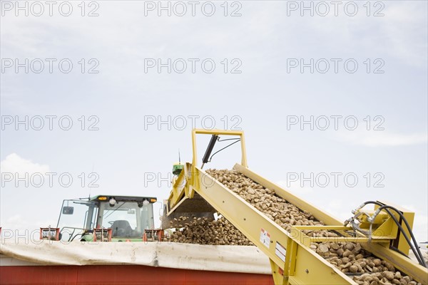 Potato harvest. Colorado, USA.
Photo : Maisie Paterson