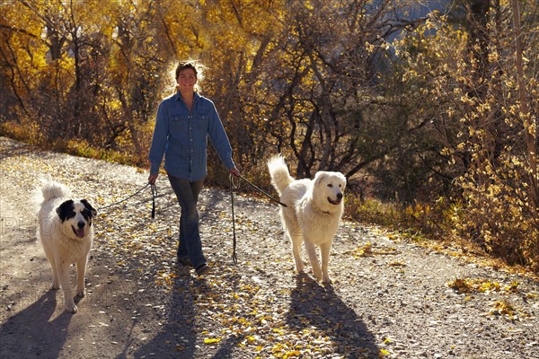 Woman walking her dogs in forest. Colorado, USA.
Photo : Kelly