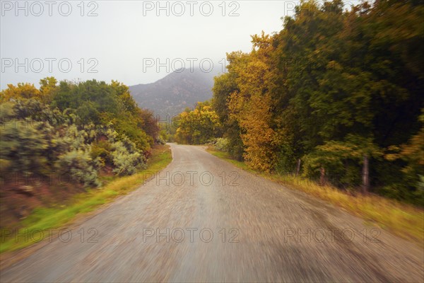 Empty, wet, country road. Colorado, USA.
Photo : Kelly