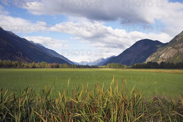 Pasture surrounded by mountains. British Columbia, Canada.
Photo : Kelly