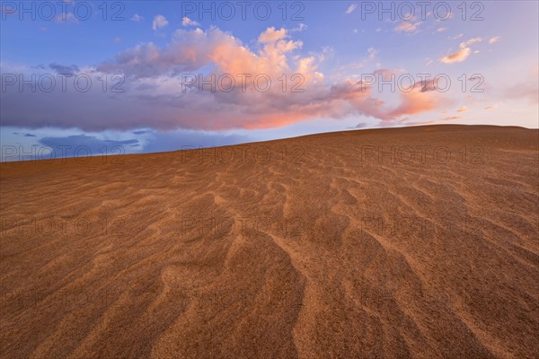 Sand dune and clouds during sunset. Christmas Valley, Oregon, USA.
Photo : Gary Weathers