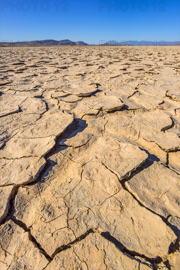 View of cracked ground. Alvord Playa, Oregon, USA.
Photo : Gary Weathers