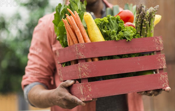 Close up of man carrying crate full of fresh vegetables.