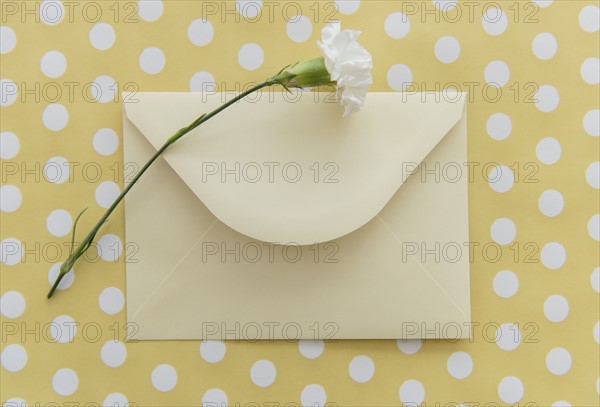 Studio Shot of flower and envelope on yellow background.
Photo : Jamie Grill