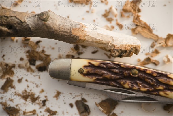 Studio Shot of pocket knife and stick.
Photo : Jamie Grill