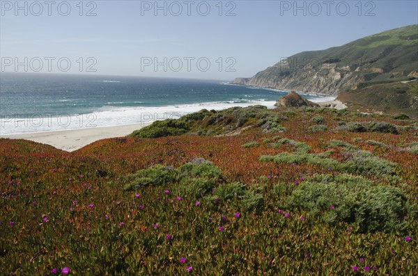 Tranquil seaside.
Photo : Tetra Images