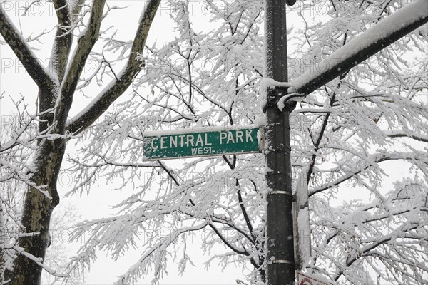 Low angle view of Central Park sign.
Photo :  Winslow Productions