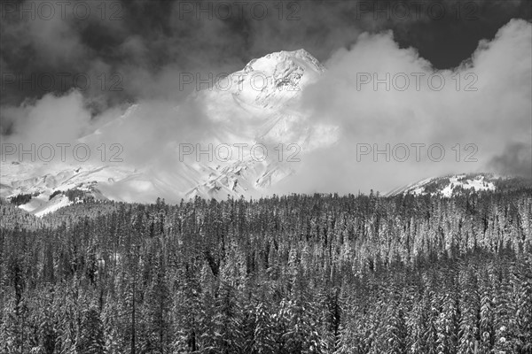 View of Mt Hood.
Photo : Gary Weathers