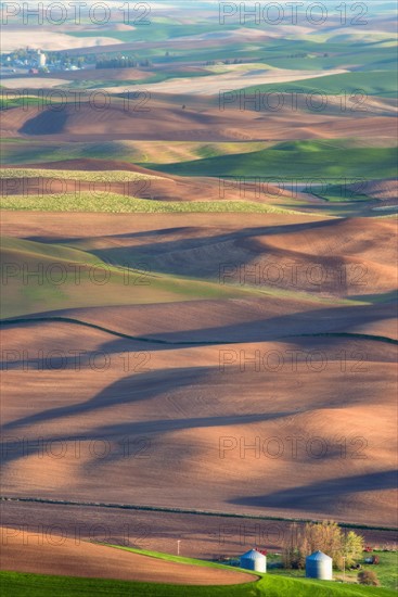 Farm on wheat field.
Photo : Gary Weathers