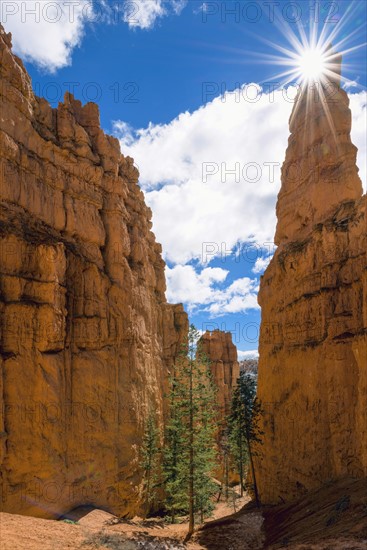 Sun over Bryce Canyon.
Photo : Gary Weathers