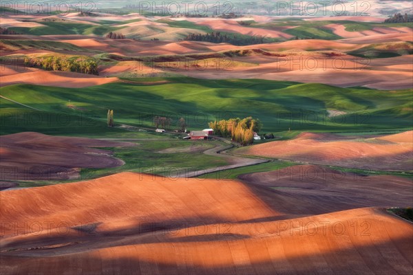 Farm on wheat field.
Photo : Gary Weathers