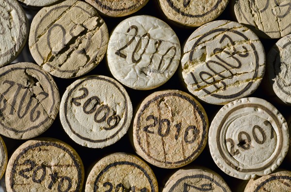 Studio shot of wine corks.
Photo : Tetra Images