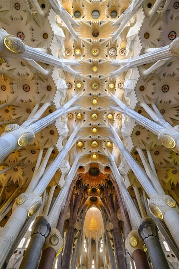 Sagrada Familia church interior. Barcelona, Spain.